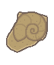 helix_fossil.png
